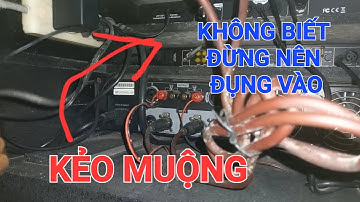 Cả nhà không biết đừng nên đụng vào là tét bét