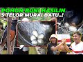 GANYANGKA..! SEBANYAK INI MURAI BATU BERTELUR DI AVIARY..! LANGSUNG GW INTIP