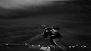 𝐍𝐨𝐰 𝐇𝐨𝐰 𝐈𝐬 𝐄𝐯𝐞𝐫𝐲𝐨𝐧𝐞 | 𝐃𝐚𝐲𝐙 𝟒𝐊