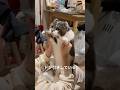 顔が全然乗り気じゃない踊るねこ #猫のいる暮らし