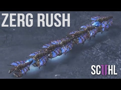 300 IQ ZERG RUSH