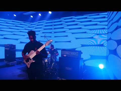 ANIMALS AS LEADERS - Ectogenesis (Live in Anaheim 2020)