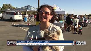 K9's for the Kids fun run and walk