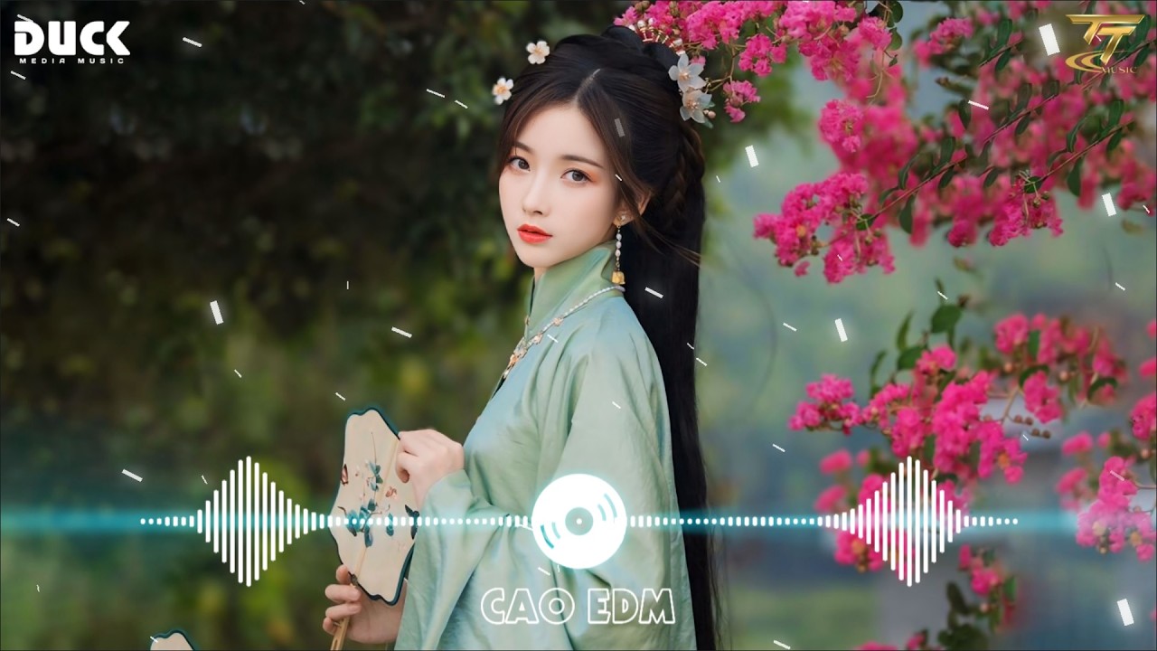 Xông Pha Remix - Từng Nhiều Năm Bôn Ba Remix - Mộng Hoa Sim Remix