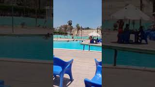 حمام سباحة نادي قصر الاهرام بالهرم بالاسعار والمواعيد