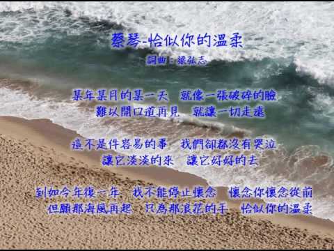 [翻唱]蔡琴-恰似你的溫柔