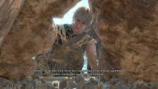 Baldur's Gate 3 - Harper's Stash and Spider Egg Sac #E112