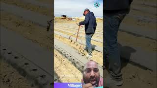 equal distance plant saplings tools #shortsvideo #trendingshorts