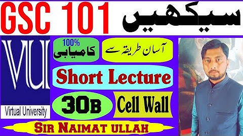 GSC101 Short Lecture 30b|GSC 101|CELL THEORY|Biology|CELLULAR COMPONENT|Cell Wall|secondary|primary.
