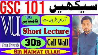 GSC101 Short Lecture 30b | GSC 101 | CELL THEORY | Biology | CELLULAR COMPONENT | Cell Wall | sec...