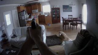 Contour Hat POV Test 1