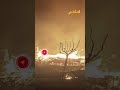 خبير الفلك الذي توقع جحيم لوس أنجلوس لماذا تجاهله الأمريكيون 