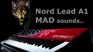 Nord Lead A1 MAD sounds -  Dubstep, angry,  tb filter, electro, trance, lead