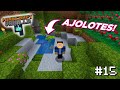 MINECRAFT VANILLA 4 - ESTANQUE PARA AJOLOTES #15