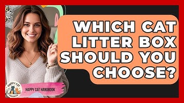 Which Cat Litter Box Should You Choose? - Happy Cat Handbook