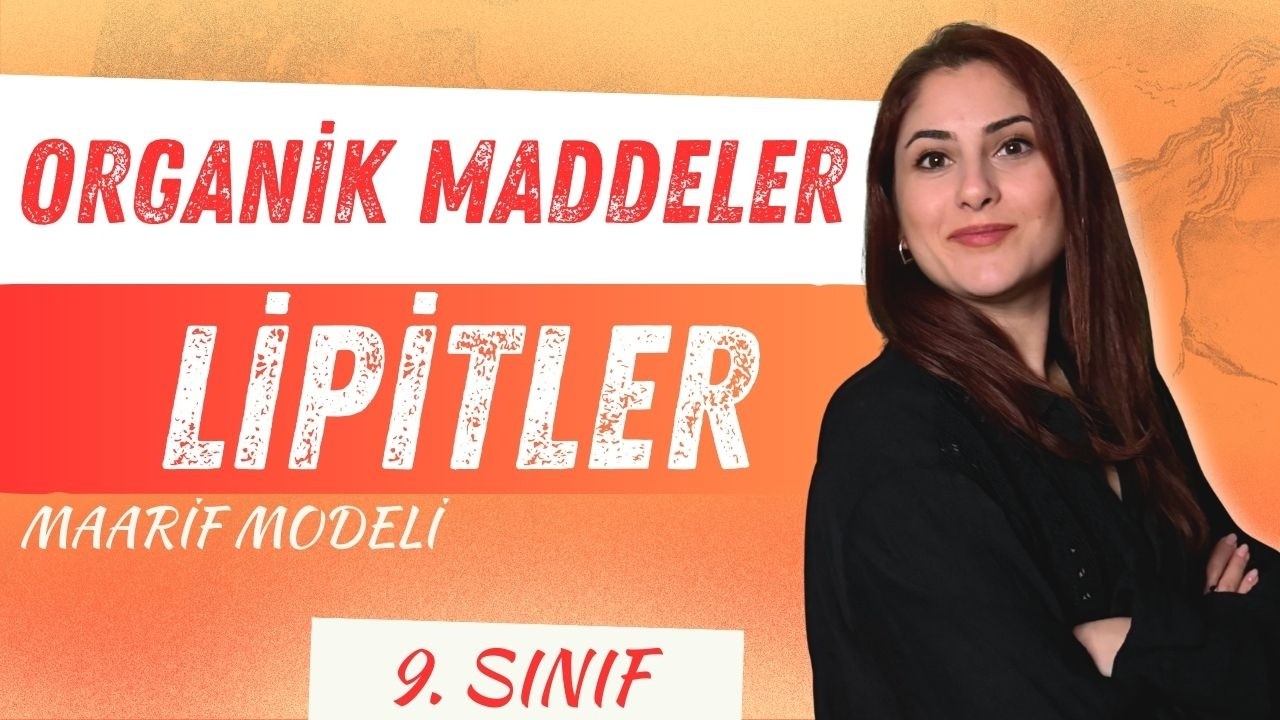 13) LİPİTLER | ORGANİK MADDELER | 9. SINIF BİYOLOJİ | MAARİF MODELİ