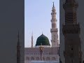 Madine ke daro Deewar l Beautiful Naat l Madina | Status l WhatsApp Status
