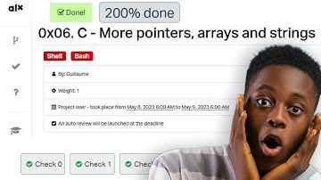 0x06  C - MORE POINTERS, ARRAYS AND STRINGS Alx | 100% Explained