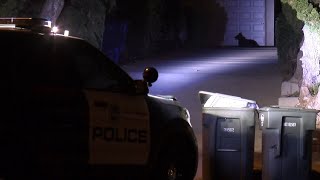 Ventura PD edit
