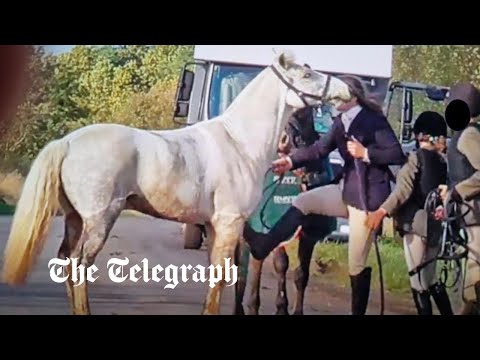 Woman found not guilty of animal cruelty after kicking and slapping horse