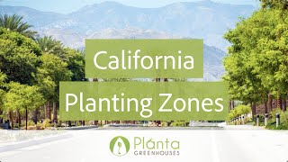 California Planting Zones – Planta Greenhouses