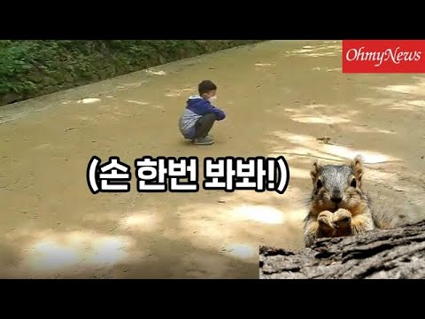 ※심쿵주의※ 숲속 다람쥐가 아이들 손 보자 한 행동