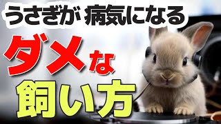 こんな飼い方したらうさぎは100％病気になります