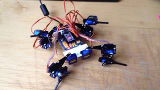 Quadruped 4 legs 12 dof servos SG90 first run screenshot 1