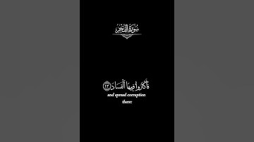 سورة الفجر _ كروما قران شاشة سوداء _ ماهر المعيقلي _ كروما قران _ كرومات قرآن #كرومات_قرآن