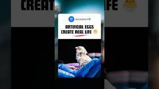 Scientists Hatch Living Chicks With Artificial Eggs🧬Future of Biology🐣