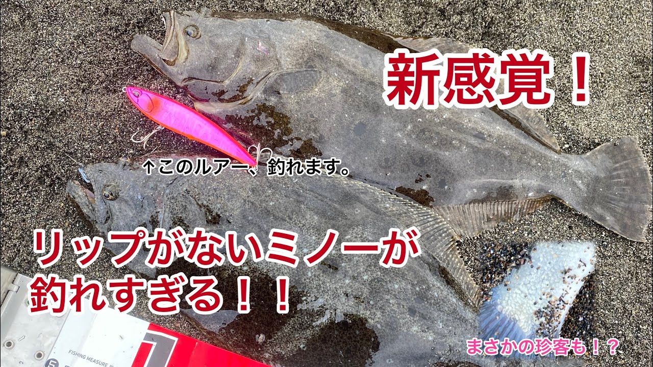 リップがないミノーが釣れすぎる件について