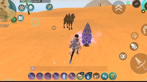 hunting Cistanche and cistanche bud/utopia origin