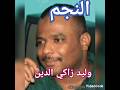 الفنان وليد زاكي الدين اكسبلور انا استاهل 