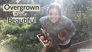 First Fall Garden Tour | September 2021