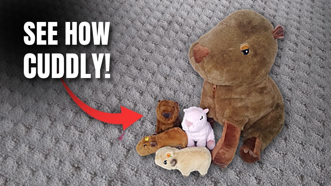 Incredibly soft capybara mama plush   see how cuddly!