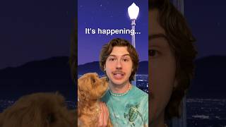 La La Land ON MY CHANNEL #shorts