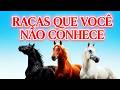 50 Raças de Cavalos que Você NUNCA Viu (Das Mais Raras às Gigantes) 🐎🌍 #cavalo #cavalos #horse