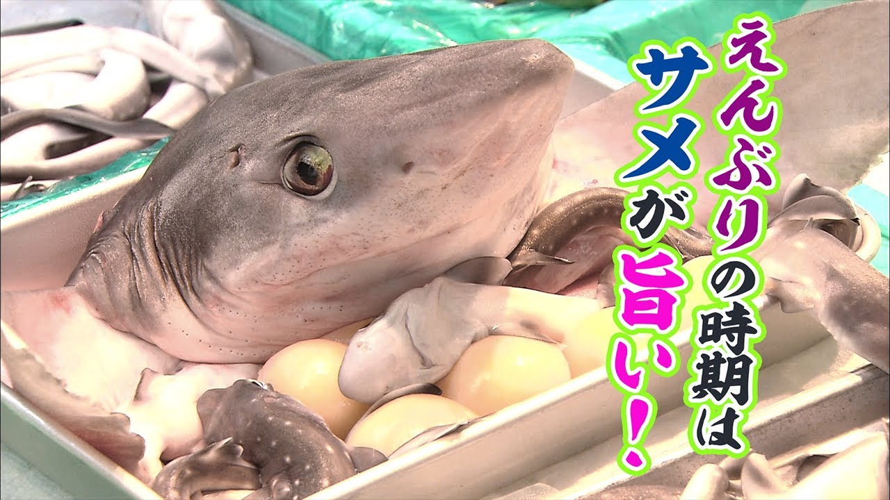 冬が旬・青森独自のサメの郷土料理 - YouTube