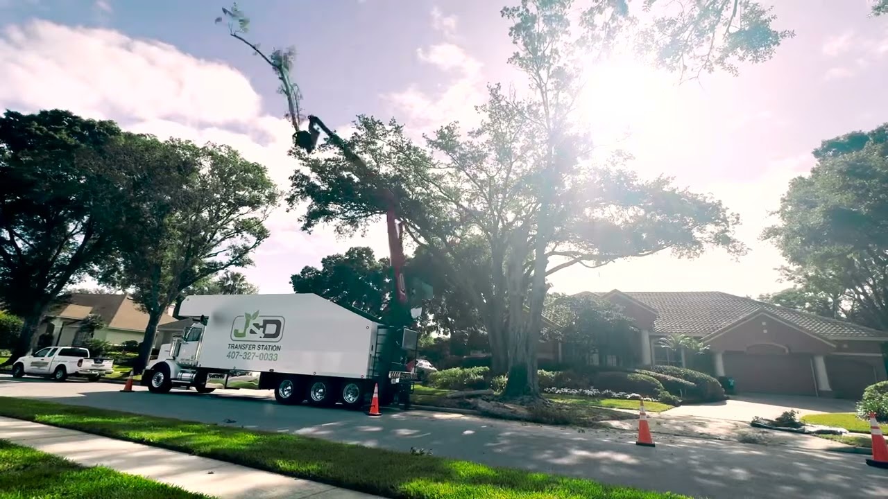 Dying tree removal with grapple truck (SG280) 45 minutes.
