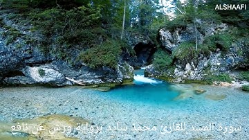 محمد سايد - سورة المسد |111|MOHAMED SAYED - SURAT AL MASAD