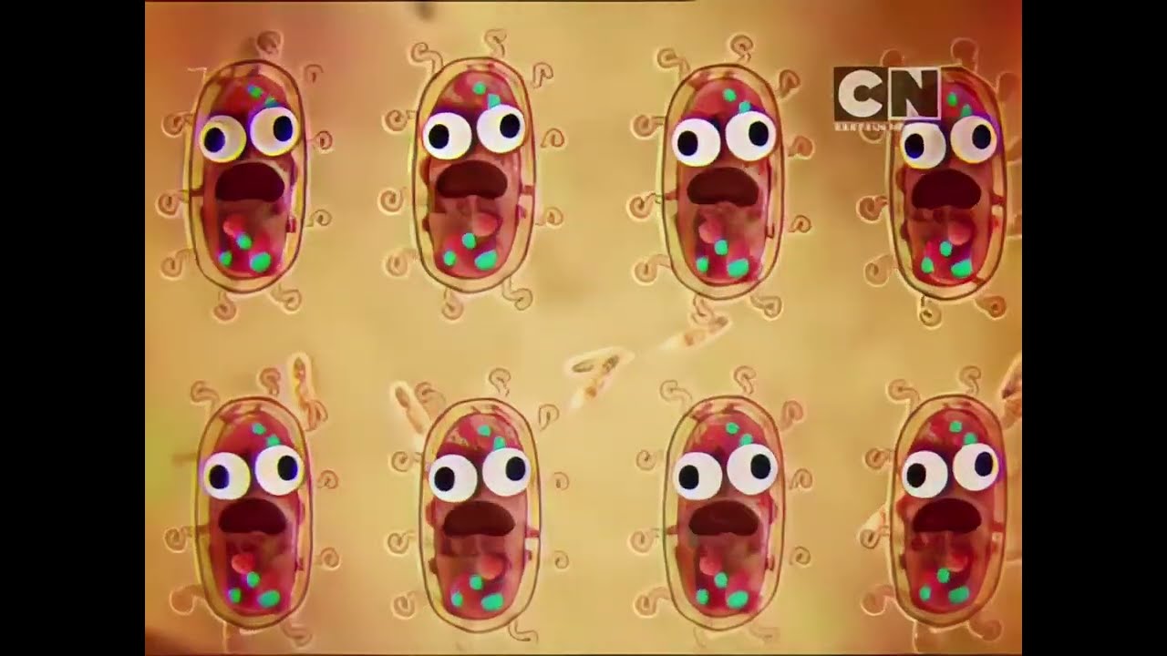 Фрагмент эфира Cartoon Network RSEE (май 2016) [60 FPS]