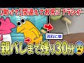 【親バレ】「間違えて尻にブラシが!取れない🥺」←間違えたのは人生な模様…【2ch面白いスレ】
