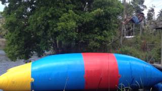 IMG 4597