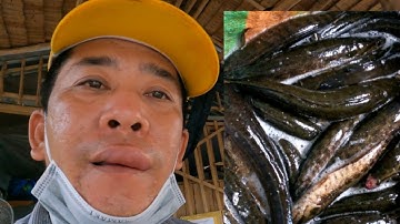 Thăm Lờ U Minh Hạ Gặp Sự Cố Kinh Hoàng Không Ngờ Tới /Định Nguyễn Hậu Giang