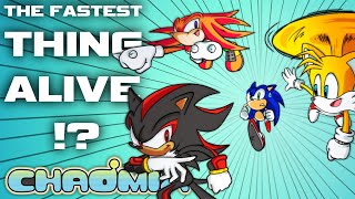 Are Sonic’s Friends Just as Fast as Sonic? by chaomix 194,505 views 1 year ago 13 minutes, 4 seconds