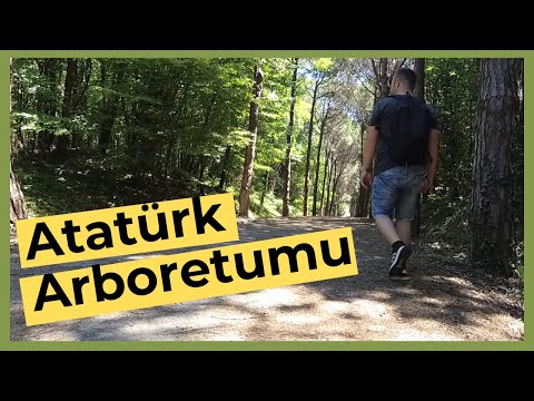 Atatürk Arboretumu Gezisi ve Kısa Tanıtım Videoları