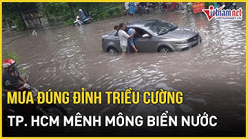 TP.HCM hứng “combo” mưa lớn kèm triều cường đạt đỉnh, gây ngập hàng loạt tuyến phố | Báo VietNamNet