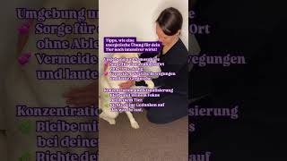 Tipps, wie eine energetische Übung für dein Tier noch intensiver wirkt!