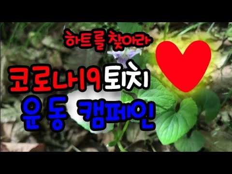 코로나19 퇴치 운동 캠페인 &amp;quot;하트 모양의 식물을 찾아보세요~&amp;quot;