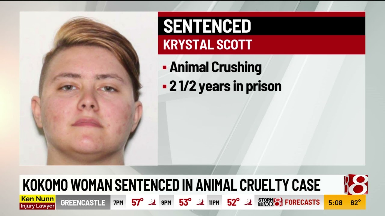 Kokomo woman sentenced in animal cruelty case